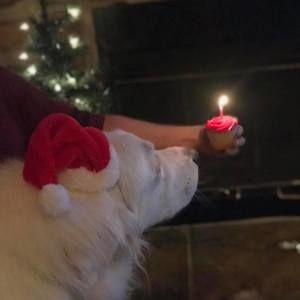 Meet your Posher, Cherie